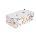 Good Quality Freshwater Shell and Resin Tissue Box